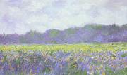 Claude Monet Field of Yellow Iris at Giverny Spain oil painting reproduction
